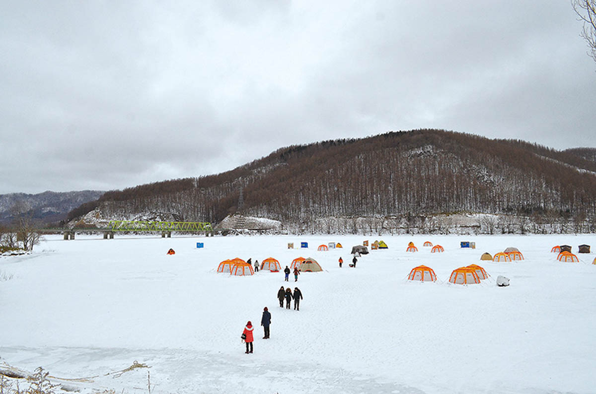 北海道 道北 南富良野町／かなやま湖のワカサギ釣り | つり人オンライン